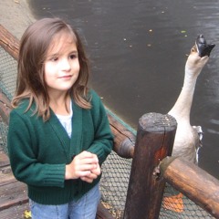 animal animal wolf howl rawr (8:22:24 7.36 PM)