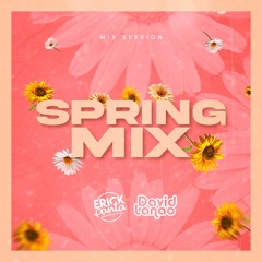 Erick Panta Ft David Lanao - Spring Mix