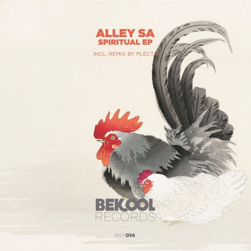 Alley SA - Spriritual (Plecta Remix)