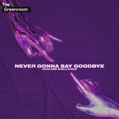 Never Gonna Say Goodbye (Extended Mix)