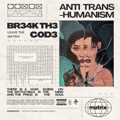 BR34K TH3 C0D3 - Luna Laila