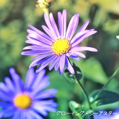 【BMSをたくさん作るぜ'25】グローイング・シーアスター