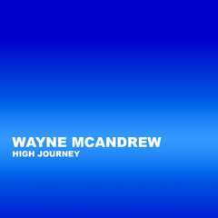 Wayne McAndrew - High Journey