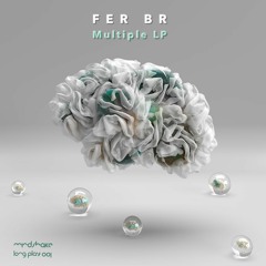 Premiere: Fer BR - My Roots [Mindshake Records]