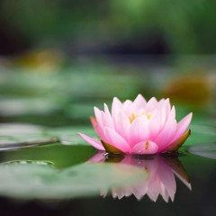 Cultivating Kindness, Wisdom and Equanimity Opening Retreat talk-Audio-3-21-25-Piero and Cindy