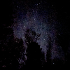 Make Me Believe In Milk