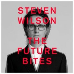 12 Things I Forgot [Steven Wilson Cover]