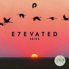E7EVATED Skies