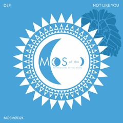 Premiere: DSF - Not Like You [My Other Side Of The Moon]