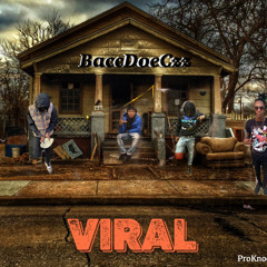 BaccDoe00 X VIRAL