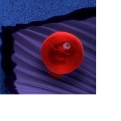 Nemo Egg cover