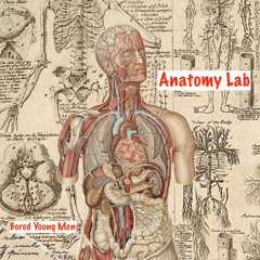 Anatomy Lab (Bored Young Men)