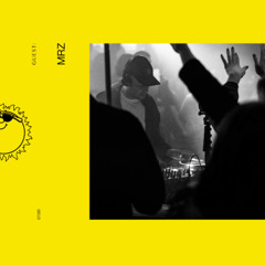 Sounds Like A Good Mixtape- MRZ [CLIPPMIX100]