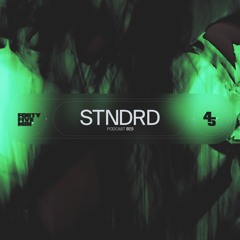 45Min' Podcast 029 // STNDRD