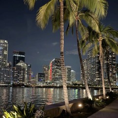 Ela Está De Volta A Miami 🌴💃