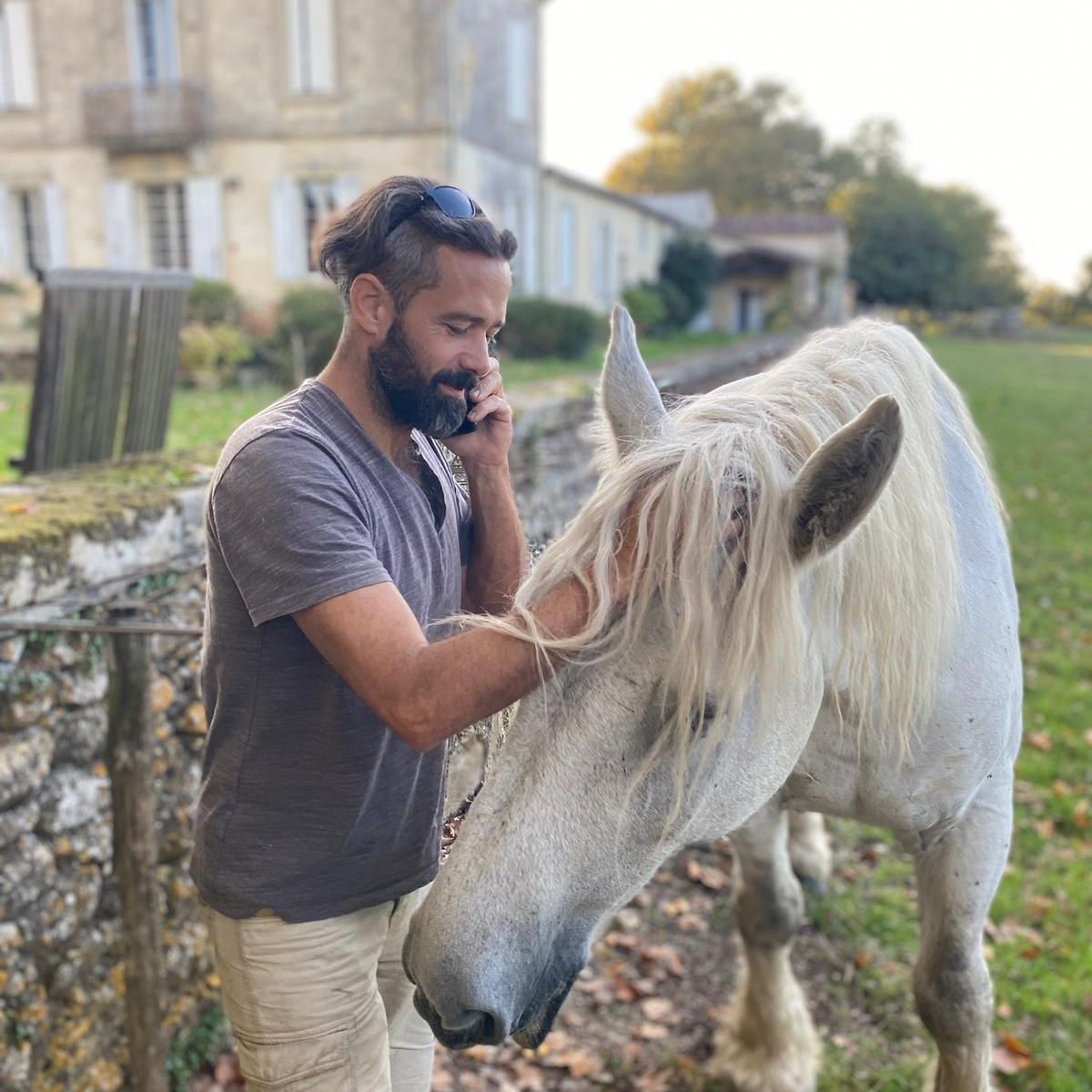 Ile Rouge - Bordeaux - « le surgreffage »
