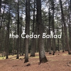 The Cedar Ballad