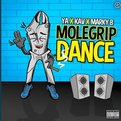 molegrip dance preview