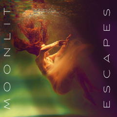 Moonlit Escape