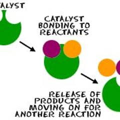 catalyst