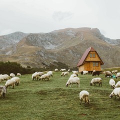 The Shepherd's Chorus