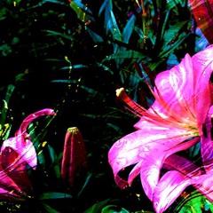 Adam East - Lost And Found Dub