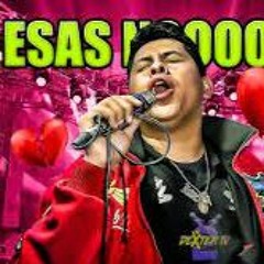 MIX ESAS NO GRUPERAS CUMBIA DJ FREDY DONIS