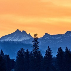 Sensations (Chapter X)