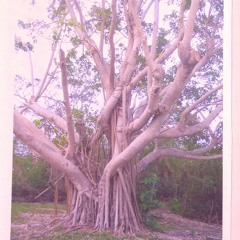 Vanishing Point ԅ⁠(⁠ ͒⁠ ⁠۝ ͒⁠ ⁠)⁠ᕤ→