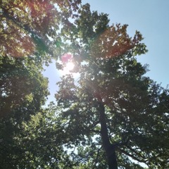 Behind you_Mimi Lloyd _ numb3r4