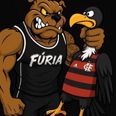 FURIA JOVEM BOTAFOGO - A FURIA JOVEM CHEGOU 2025 - DJ FARO VERAS