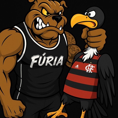 FURIA JOVEM BOTAFOGO - A FURIA JOVEM CHEGOU 2025 - DJ FARO VERAS