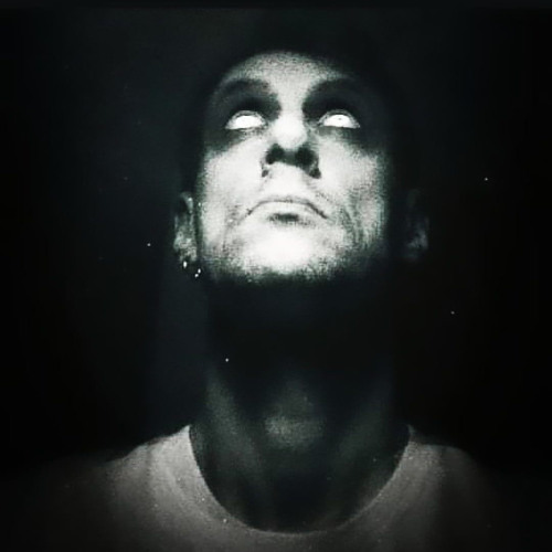 my 9000 sheeps ( for free)