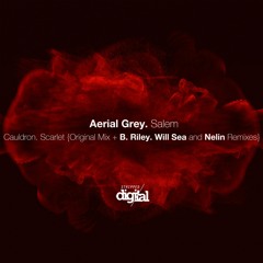 371-SD Aerial Grey - Salem | Stripped Digital