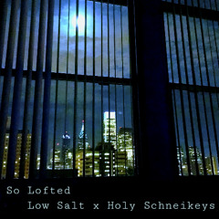 So Lofted (Low Salt x Holy Schneikeys)