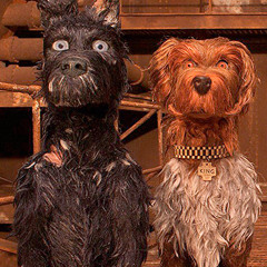 Being a good dog never garunteed id get what I want so why wouldn’t I bite  2.wav