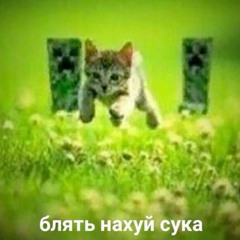 ruki vverh - 18 mne uzhe [hardstyle]