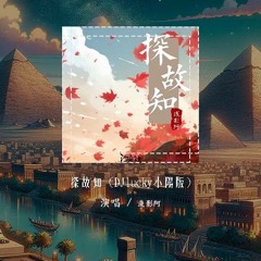 浅影阿 - 探故知 (DJlucky小阳版)「三两笔着墨迟迟不为记事 随手便成诗」【動態歌詞/pīn yīn gē cí】#浅影阿 #探故知 #動態歌詞