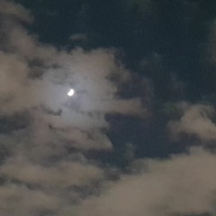 【陪你來讀蘇東坡】EP 1-月光