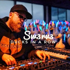 Sw3rv3_Ducks In A Row