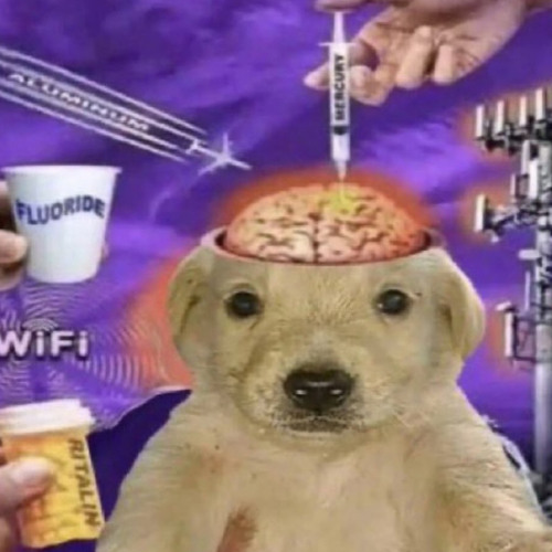 reesebasslullaby prod2009lullaby