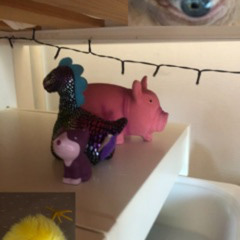 Det er ikke mærkeligt at jeg oftere og oftere