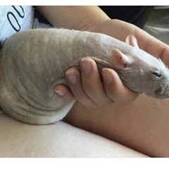 All Nite x Your Love