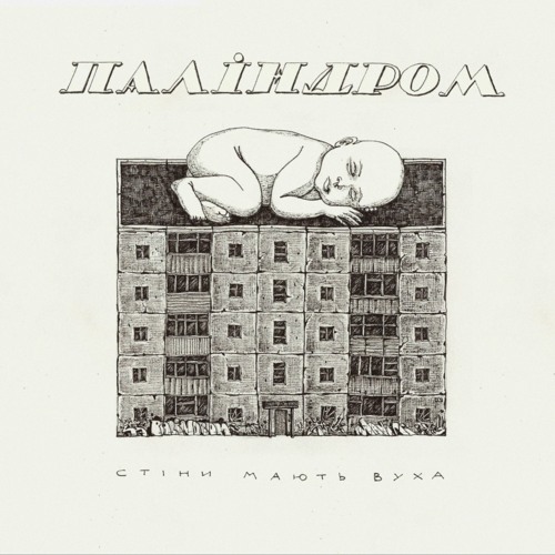 паліндром -  в полі