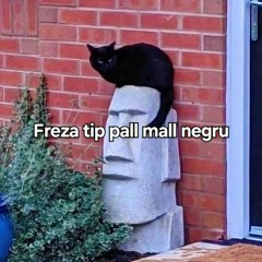 SHUCKS_ REWRITTEN V2 (ft. Abdul Cisse) (NOT MINE)