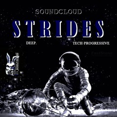 MECHANISM#  <<< STRIDES >>>