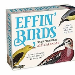 RecordedView [PDF EBOOK EPUB KINDLE] Effin' Birds 2023 Day-to-Day Calendar by  Aaron Reynolds 💕