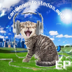 gato.mp3