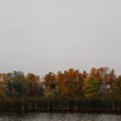 Speechless - The Ember Days cover