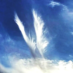 「𝓵𝓮𝓽 𝓶𝓮 𝓫𝓮 𝔀𝓲𝓽𝓱 𝔂𝓸𝓾 」